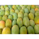 Alphonso Mango Thumnail