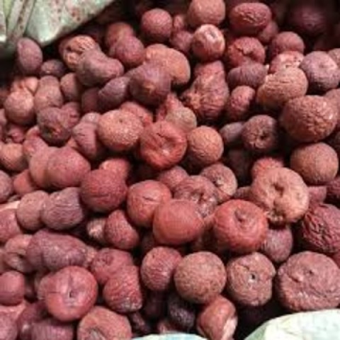 Areca nut
