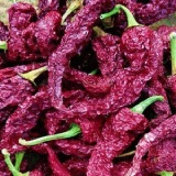 Byadgi Dabbi Chilli Thumnail