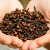 Cloves Thumnail