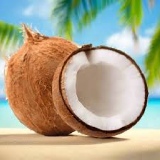 Coconut Thumnail