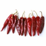 Indo 5 Endo 5 Chilli Thumnail