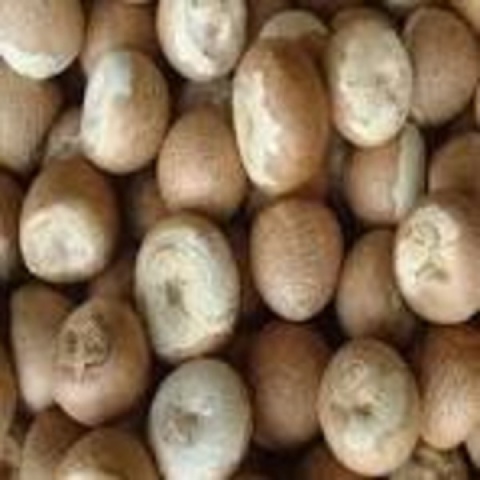 Supari Sirsi