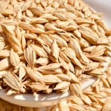 Wheat Thumnail