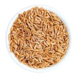 Wheat Thumnail